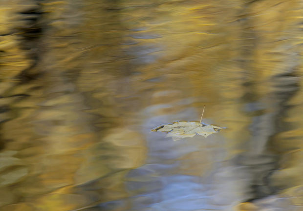 101314bp-fall-color-package-18